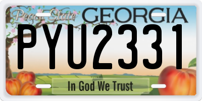 GA license plate PYU2331
