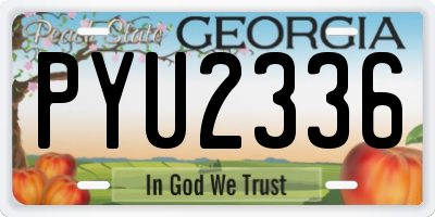 GA license plate PYU2336