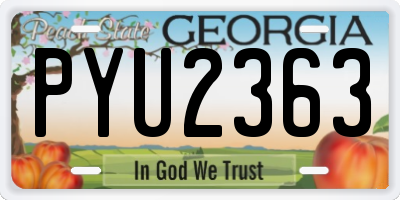GA license plate PYU2363
