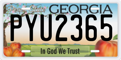 GA license plate PYU2365
