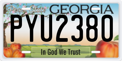 GA license plate PYU2380