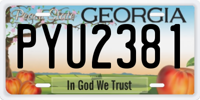 GA license plate PYU2381