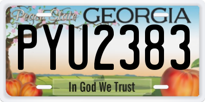 GA license plate PYU2383