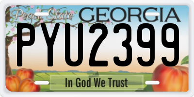 GA license plate PYU2399