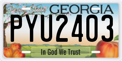 GA license plate PYU2403