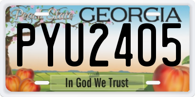 GA license plate PYU2405