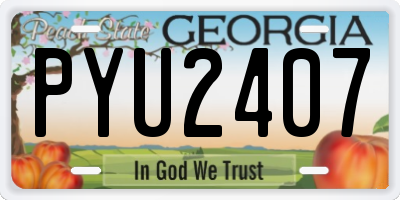 GA license plate PYU2407
