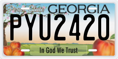 GA license plate PYU2420