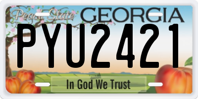 GA license plate PYU2421
