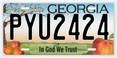 GA license plate PYU2424
