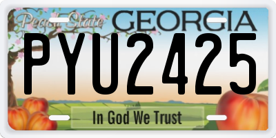 GA license plate PYU2425
