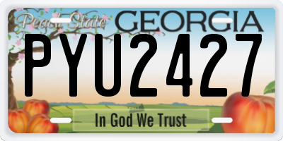 GA license plate PYU2427
