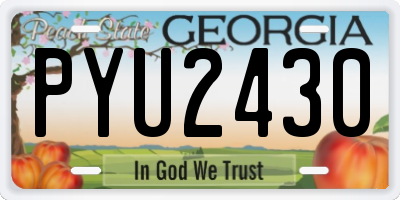GA license plate PYU2430