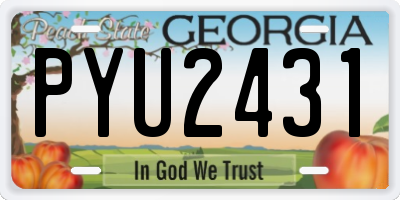 GA license plate PYU2431