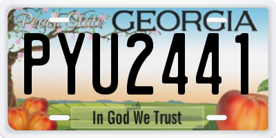 GA license plate PYU2441