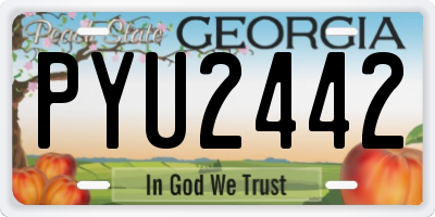 GA license plate PYU2442