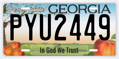 GA license plate PYU2449