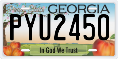 GA license plate PYU2450