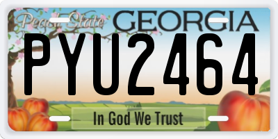 GA license plate PYU2464