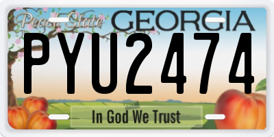 GA license plate PYU2474