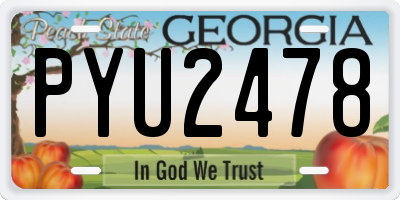 GA license plate PYU2478