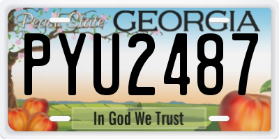 GA license plate PYU2487