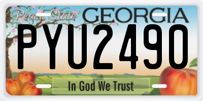 GA license plate PYU2490