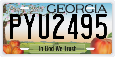 GA license plate PYU2495
