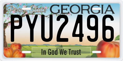 GA license plate PYU2496
