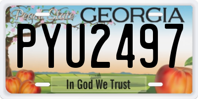 GA license plate PYU2497