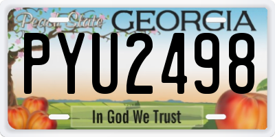 GA license plate PYU2498