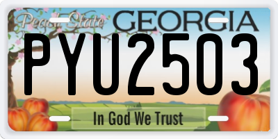 GA license plate PYU2503