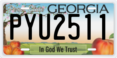 GA license plate PYU2511