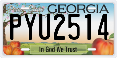 GA license plate PYU2514
