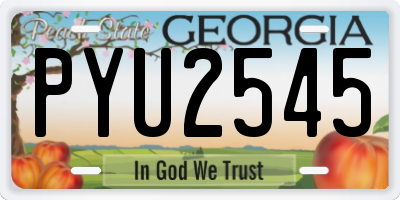 GA license plate PYU2545