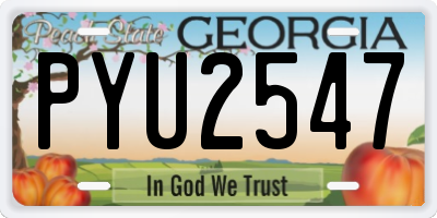 GA license plate PYU2547