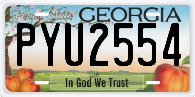 GA license plate PYU2554