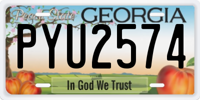 GA license plate PYU2574