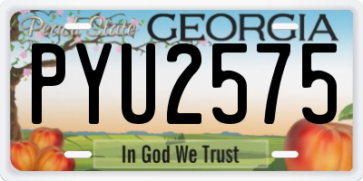 GA license plate PYU2575