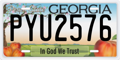 GA license plate PYU2576