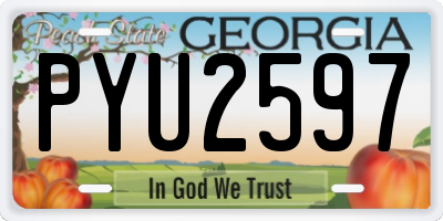 GA license plate PYU2597