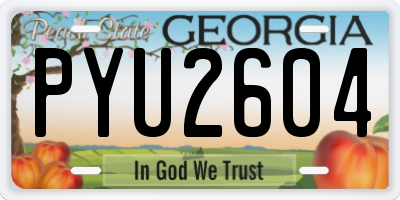 GA license plate PYU2604