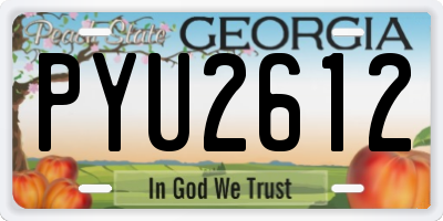 GA license plate PYU2612