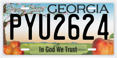 GA license plate PYU2624