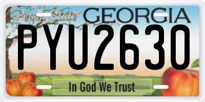 GA license plate PYU2630
