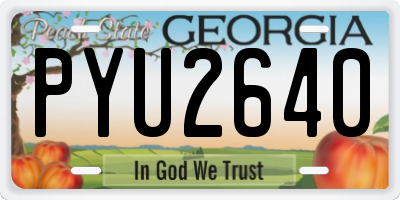 GA license plate PYU2640