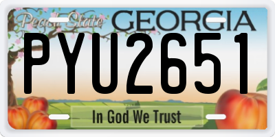 GA license plate PYU2651