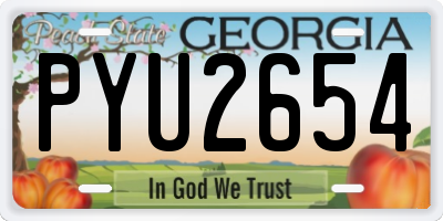 GA license plate PYU2654