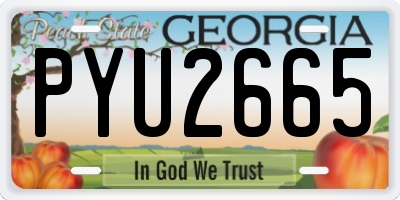 GA license plate PYU2665