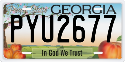 GA license plate PYU2677
